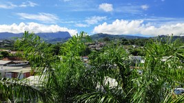 2020 02 23 POLYNESIE (5).jpg