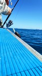 2020 03 01 NOUVELLE CALEDONIE (23).jpg