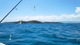 2020 03 01 NOUVELLE CALEDONIE (29).jpg