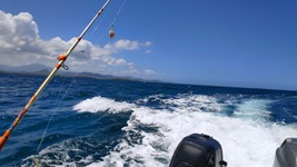 2020 03 01 NOUVELLE CALEDONIE (31).jpg