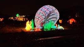 20191226 Jardin des plantes (11).jpg