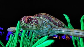 20191226 Jardin des plantes (18).jpg