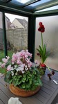 IMG_20200217_134643_1.jpg