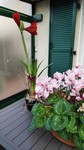 IMG_20200217_134655.jpg